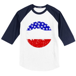 Pig Roast Retro Style Bbq Cookout American Flag Cute Gift Baseball Sleeve Shirt