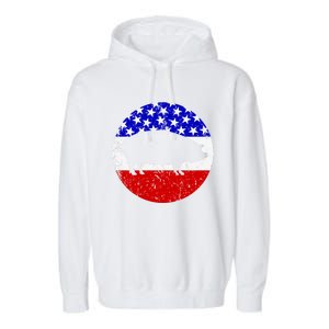 Pig Roast Retro Style Bbq Cookout American Flag Cute Gift Garment-Dyed Fleece Hoodie