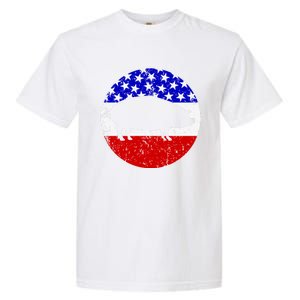 Pig Roast Retro Style Bbq Cookout American Flag Cute Gift Garment-Dyed Heavyweight T-Shirt