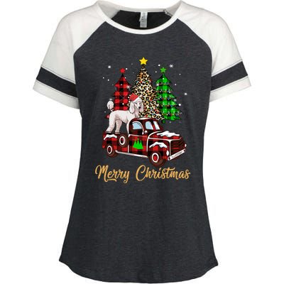 Poodle Riding Red Truck Xmas Merry Christmas Cute Gift Enza Ladies Jersey Colorblock Tee