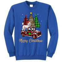 Poodle Riding Red Truck Xmas Merry Christmas Cute Gift Sweatshirt