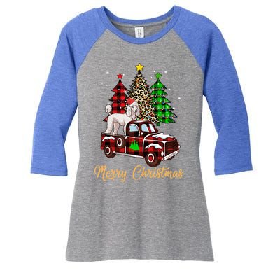 Poodle Riding Red Truck Xmas Merry Christmas Cute Gift Women's Tri-Blend 3/4-Sleeve Raglan Shirt