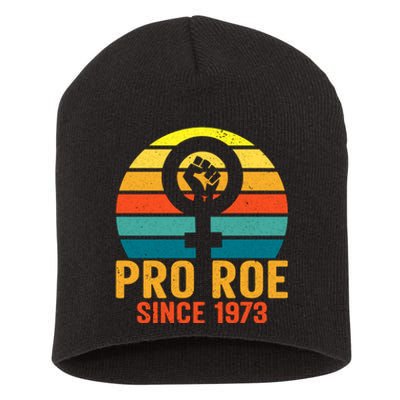 Pro Roe Since 1973 Vintage Retro T Short Acrylic Beanie