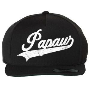 Papaw Retro Style Funny Father’S Day Gift For Dad Grandpa Meaningful Gift Wool Snapback Cap