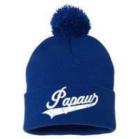 Papaw Retro Style Funny Father’S Day Gift For Dad Grandpa Meaningful Gift Pom Pom 12in Knit Beanie