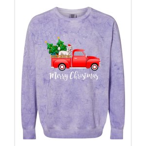 Poodle Red Truck Christmas Tree Xmas Dog Lover Funny Gift Colorblast Crewneck Sweatshirt