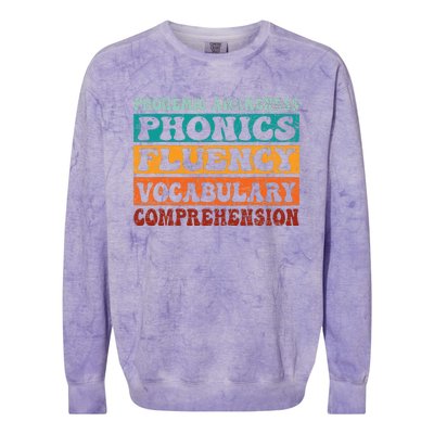 Phonemic Reading Teacher Science of Reading Phonics Colorblast Crewneck Sweatshirt