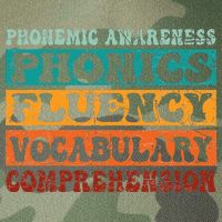 Phonemic Reading Teacher Science of Reading Phonics Legacy Tie Dye Trucker Hat