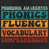 Phonemic Reading Teacher Science of Reading Phonics Adult Drive Performance Visor