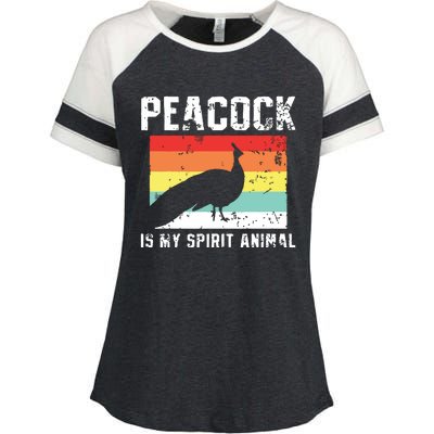 Peacock Retro Vintage Enza Ladies Jersey Colorblock Tee