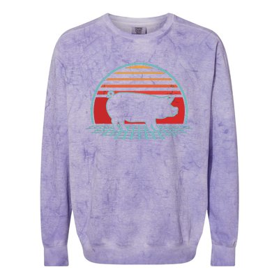 Pig Retro Vintage 80s Style Farm Animal Lover Gift Colorblast Crewneck Sweatshirt