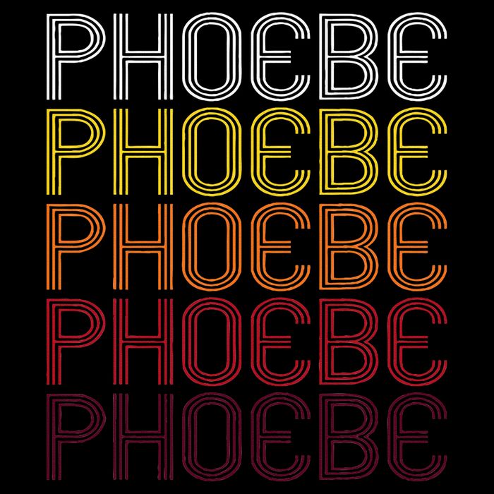 Phoebe Retro Wordmark Pattern Vintage Style Toddler T-Shirt
