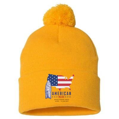 Paleo Spearpoint American Flag Design Pom Pom 12in Knit Beanie