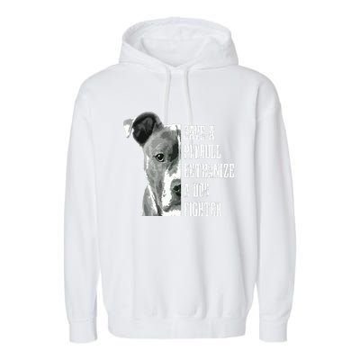 Pitbull Save A Pitbull Funny Dog Rescue Pitbull Mom Dad Garment-Dyed Fleece Hoodie