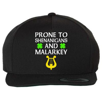 Proneo Shenanigans And Malarkey Funny St Patrick's Day Wool Snapback Cap