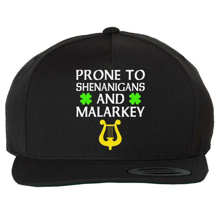 Proneo Shenanigans And Malarkey Funny St Patrick's Day Wool Snapback Cap