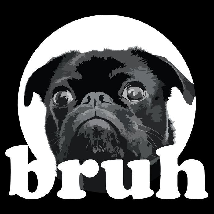 Pug Says Bruh Adorable Dog Funny Humor Fashion Button