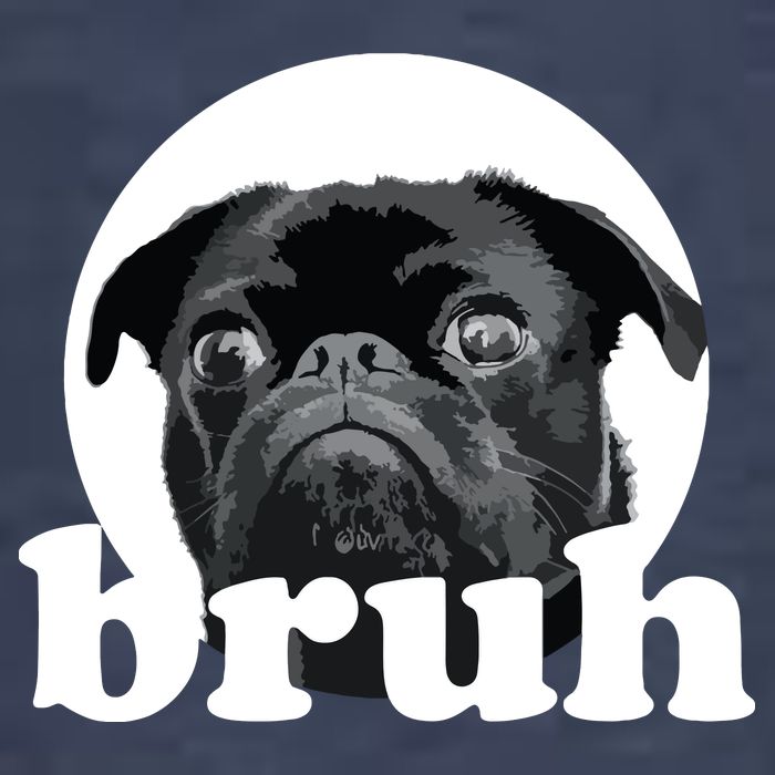 Pug Says Bruh Adorable Dog Funny Humor Fashion Sweatshirt