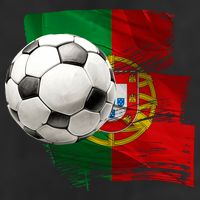 Portugal Soccer Ball 11oz C Handle Ceramic Mug