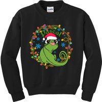 Pascal Santa Christmas Lights Santa Pascal Frog Christmas Kids Sweatshirt