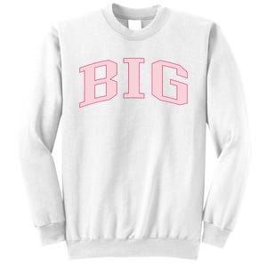 Pink Sorority Crewneck Sweatshirt Sweatshirt