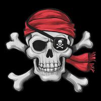Pirate Skull Crossbones Halloween Costume Boy Toddler T-Shirt