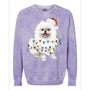 Pomeranian Santa Christmas Tree Lights Xmas Dog Lover Colorblast Crewneck Sweatshirt