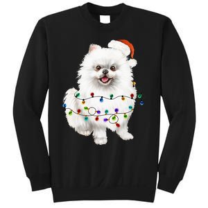 Pomeranian Santa Christmas Tree Lights Xmas Dog Lover Sweatshirt