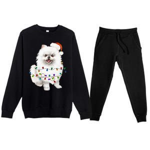 Pomeranian Santa Christmas Tree Lights Xmas Dog Lover Premium Crewneck Sweatsuit Set