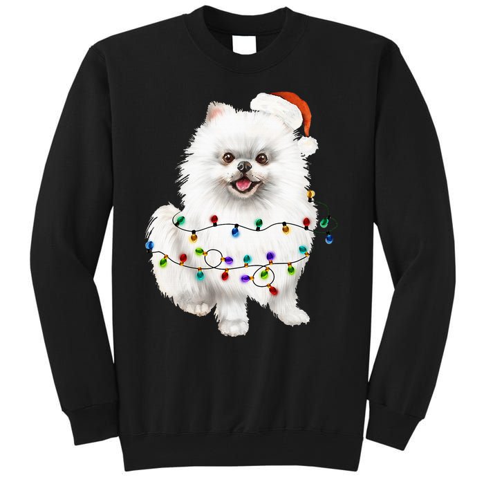 Pomeranian Santa Christmas Tree Lights Xmas Dog Lover Tall Sweatshirt