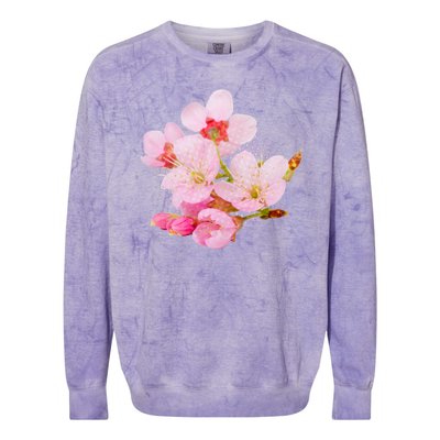 Pink Springtime Cherry Blossoms Sakura Colorblast Crewneck Sweatshirt