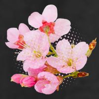 Pink Springtime Cherry Blossoms Sakura Garment-Dyed Heavyweight T-Shirt