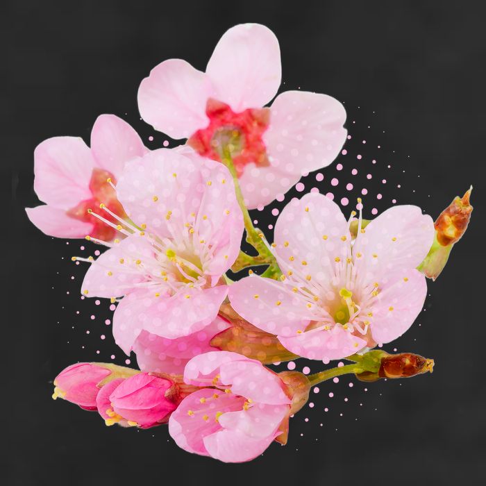 Pink Springtime Cherry Blossoms Sakura Garment-Dyed Heavyweight T-Shirt