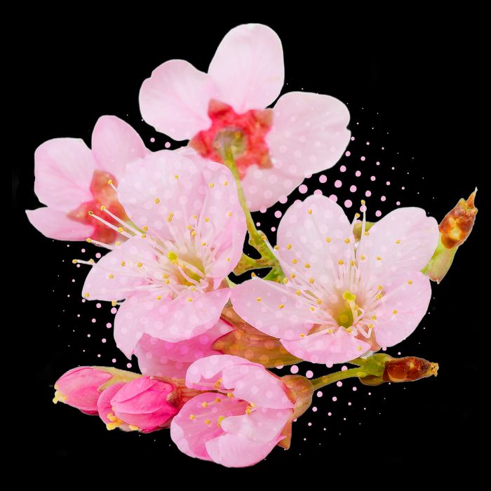 Pink Springtime Cherry Blossoms Sakura Cooling Performance Crew T-Shirt