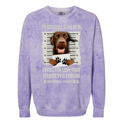 Personal Stalker Chocolate Labrador Lab Colorblast Crewneck Sweatshirt