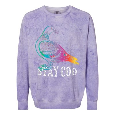 Pigeon Stay Coo Funny Love Pigeons Birds Lover Colorblast Crewneck Sweatshirt