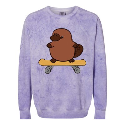 Platypus Skateboard Cute Skateboarding Platypus Colorblast Crewneck Sweatshirt