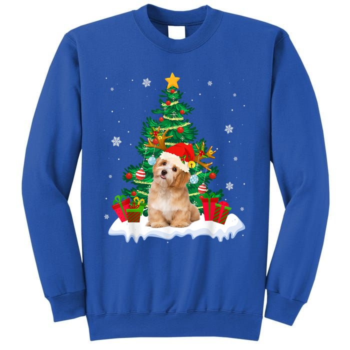 Poodle Santa Christmas Tree Light Pajama Dog Xmas Great Gift Sweatshirt