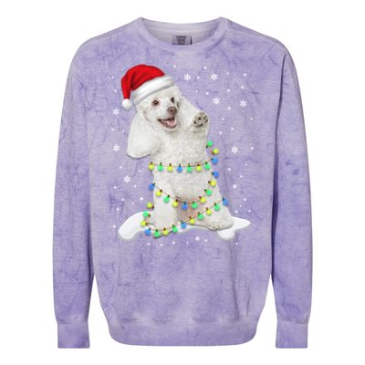 Poodle Santa Christmas Tree Lights Xmas Gift Colorblast Crewneck Sweatshirt