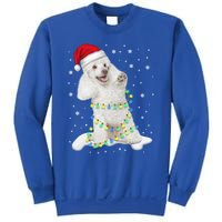 Poodle Santa Christmas Tree Lights Xmas Gift Sweatshirt