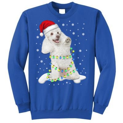 Poodle Santa Christmas Tree Lights Xmas Gift Sweatshirt