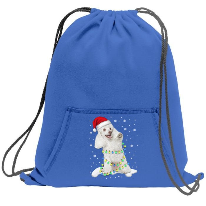 Poodle Santa Christmas Tree Lights Xmas Gift Sweatshirt Cinch Pack Bag