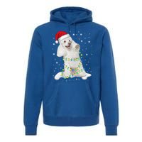 Poodle Santa Christmas Tree Lights Xmas Gift Premium Hoodie