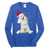 Poodle Santa Christmas Tree Lights Xmas Gift Tall Long Sleeve T-Shirt