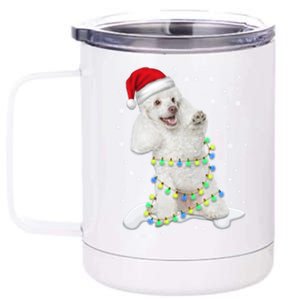 Poodle Santa Christmas Tree Lights Xmas Gift 12 oz Stainless Steel Tumbler Cup