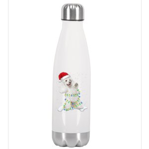 Poodle Santa Christmas Tree Lights Xmas Gift Stainless Steel Insulated Water Bottle