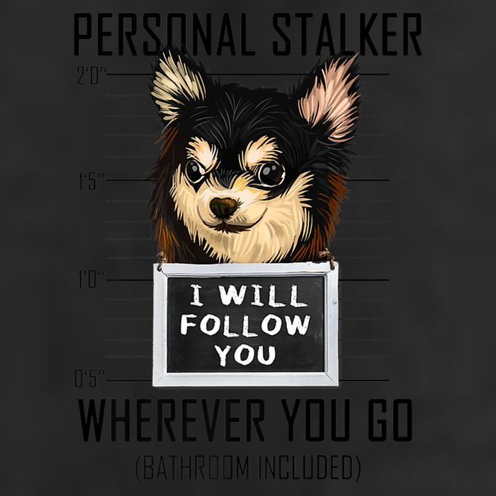 Personal Stalker Dog Chihuahua I Will Follow You Mugshot Premium 11oz C Handle Ceramic Mug