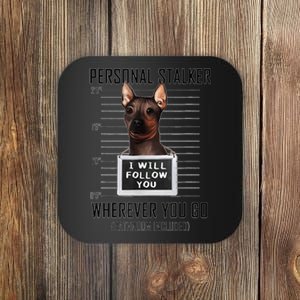 Personal Stalker Dog Hairless Terrier I Will Follow You Coaster