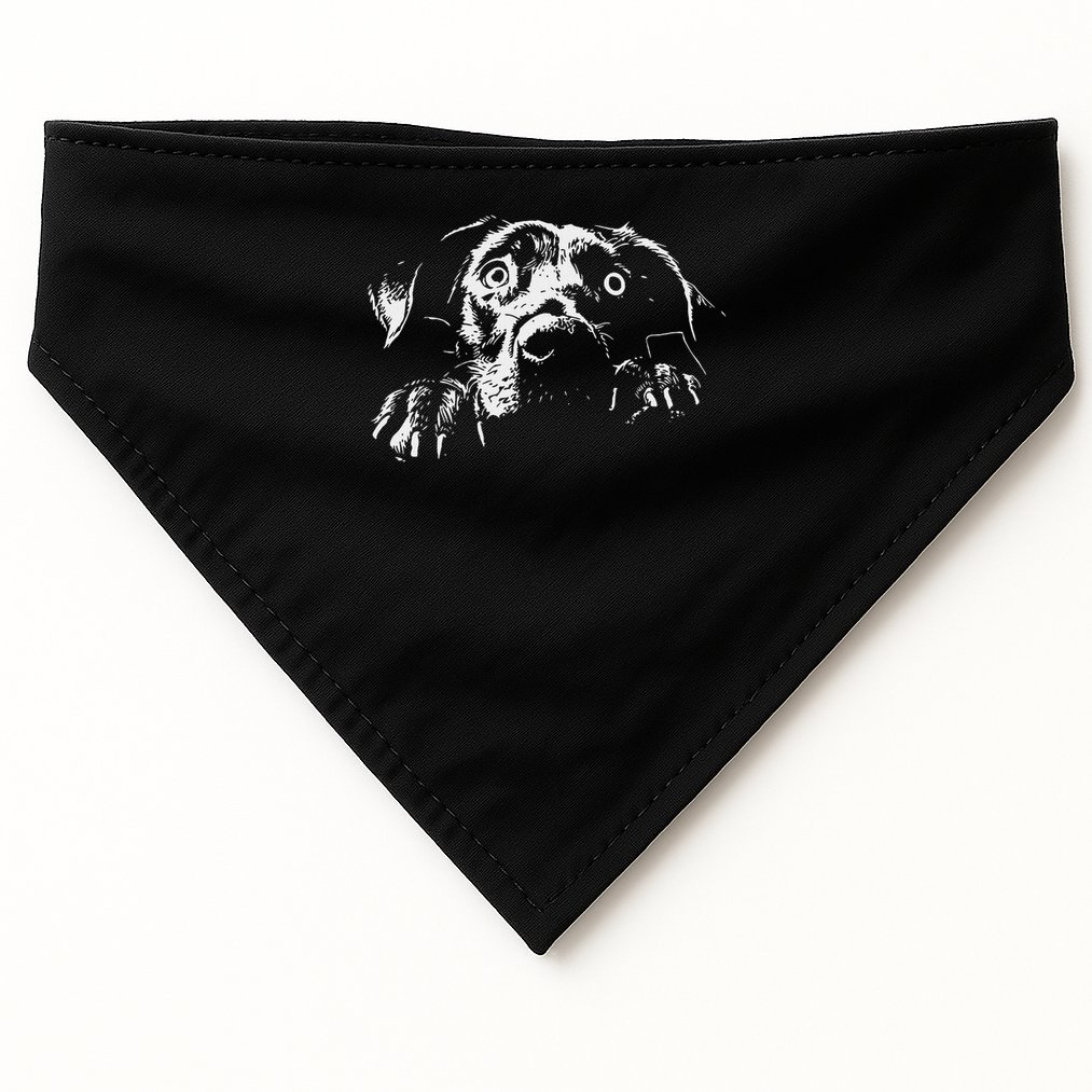 Pentagram Sigil Devil USA-Made Doggie Bandana