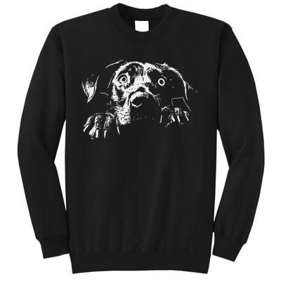 Pentagram Sigil Devil Sweatshirt